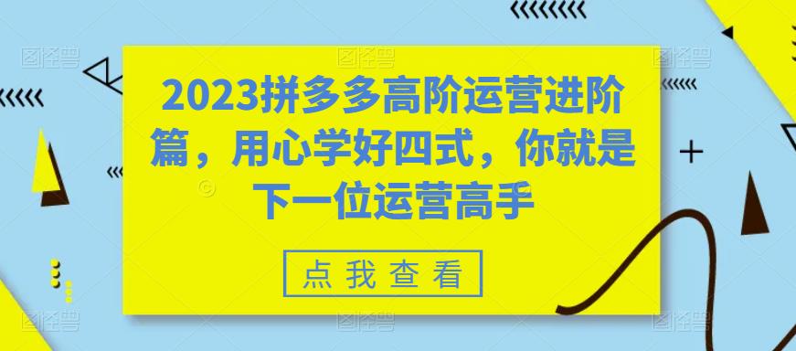 2023拼多多高阶运营进阶篇，用心学好四式，你就是下一位运营高手-水滴知识网