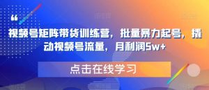 视频号矩阵带货训练营,批量暴力起号,撬动视频号流量,月利润5w+-水滴知识网