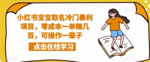 小红书宝宝取名冷门暴利项目,零成本一单赚几百,可操作一辈子-水滴知识网
