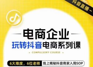 玺承·电商企业玩转抖音电商系列课,6大维度,6位老师,线上揭秘抖音商家入局SOP-水滴知识网