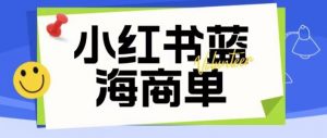 价值2980的小红书商单项目暴力起号玩法,一单收益200-300(可批量放大)-水滴知识网