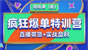 抖音短视频疯狂爆单特训营现场课（新）直播带货+实战案例-水滴知识网