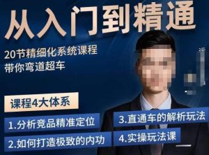 龙一·从入门到精通拼多多运营系列课,0-100的运营实操技巧,精细化系列课程带你弯道超车-水滴知识网