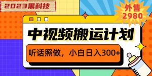 外面卖2980元2023黑科技操作中视频撸收益,听话照做小白日入300+-水滴知识网