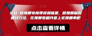 文林·短频视电商带训货练营,短视频的新赚钱方法,在视号频和抖音实上现爆单吧-水滴知识网