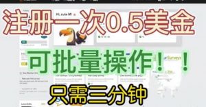 国外项目注册一次0.5美金，只需三分钟无脑操作，可批量同时放大操作，小白工作室福利【揭秘】-水滴知识网
