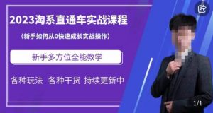 2023淘系直通车保姆式运营讲解,新手如何从0快速成长实战操作,新手多方位全能教学-水滴知识网