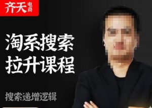 齐天电商·淘系搜索提升课程，​搜索递增标准化，动销标准化流程-水滴知识网