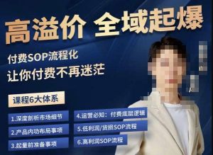 逸风-拼多多高溢价全域起爆,6大课程体系,付费玩法全套实操-水滴知识网