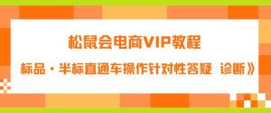 松鼠会电商VIP教程：松鼠《付费推广标品·半标直通车操作针对性答疑&诊断》-水滴知识网