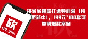 拼多多爆款打造特训营(持续更新中),199元*100套可复制爆款案例-水滴知识网