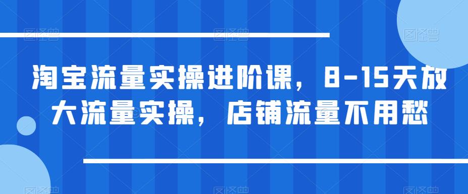 淘宝流量实操进阶课，8-15天放大流量实操，店铺流量不用愁-水滴知识网