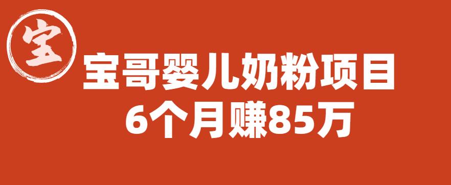 宝哥婴儿奶粉项目,6个月赚85w【图文非视频】【揭秘】-水滴知识网