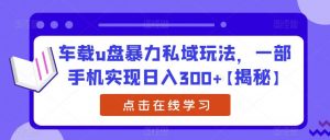 车载u盘暴力私域玩法,一部手机实现日入300+【揭秘】-水滴知识网