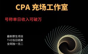 cpa充场工作室,号称单日收入10000+(揭秘)-水滴知识网