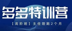 纪主任·5月最新多多特训营高阶班,玩法落地实操,多多全掌握-水滴知识网