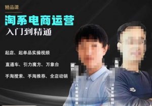 2023手淘搜索实操课+体系化课程,起店起单品实操视频课程-水滴知识网
