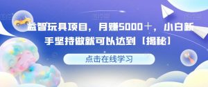 益智玩具项目,月赚5000+,小白新手坚持做就可以达到【揭秘】-水滴知识网