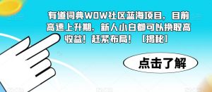 有道词典WOW社区蓝海项目，目前高速上升期，新人小白都可以换取高收益！赶紧布局！【揭秘】-水滴知识网