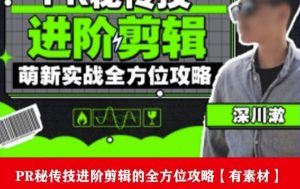 PR进阶剪辑培训班，让你快速成为剪辑大师12节视频课程+素材！-水滴知识网