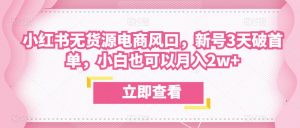 众狼电商余文小红书无货源电商风口,新号3天破首单,小白也可以月入2w+-水滴知识网