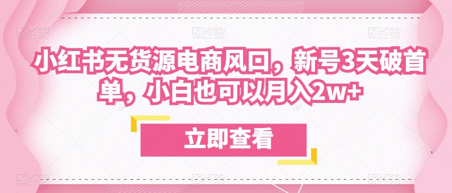众狼电商余文小红书无货源电商风口,新号3天破首单,小白也可以月入2w+-水滴知识网