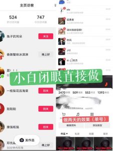 一天做完别一辈子的视频制作最近很火的《1000个野路子信息差》100%过原创【揭秘】-水滴知识网