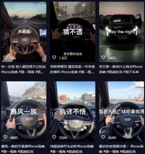 抖音开车视频项目，0基础操作，每天五分钟，月入1W+【揭秘】-水滴知识网