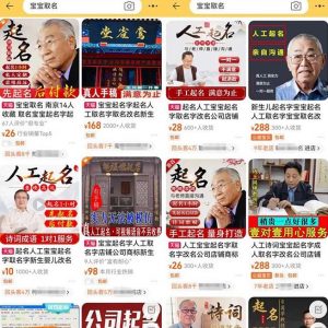 拆解小红书宝宝起名虚拟副业项目,一条龙实操玩法分享给你(教程+软件)-水滴知识网