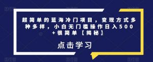 超简单的蓝海冷门项目，变现方式多种多样，小白无门槛操作日入500+很简单【揭秘】-水滴知识网