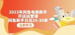 2023年闲鱼电商新手开店运营课:闲鱼新手日出20-30单(18节-实战干货)-水滴知识网