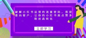 破解小红书运营的流量密码,揽获意向客户,让你的小红书高点赞多粉丝高转化-水滴知识网