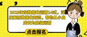 2023淘宝数据化运营14式,深度解析数据化知识,帮你从小白成长为高级运营-水滴知识网