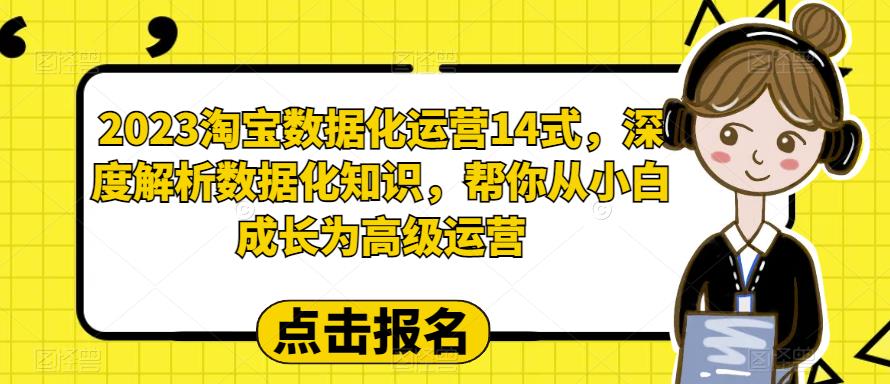 2023淘宝数据化运营14式,深度解析数据化知识,帮你从小白成长为高级运营-水滴知识网