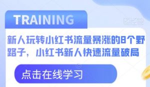 新人玩转小红书流量暴涨的8个野路子,小红书新人快速流量破局-水滴知识网