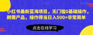 小红书最新蓝海项目,无门槛0基础操作,刚需产品,操作得当日入500+非常简单【揭秘】-水滴知识网