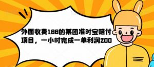 外面收费188的美团准时宝赔付项目，一小时完成一单利润200【仅揭秘】-水滴知识网
