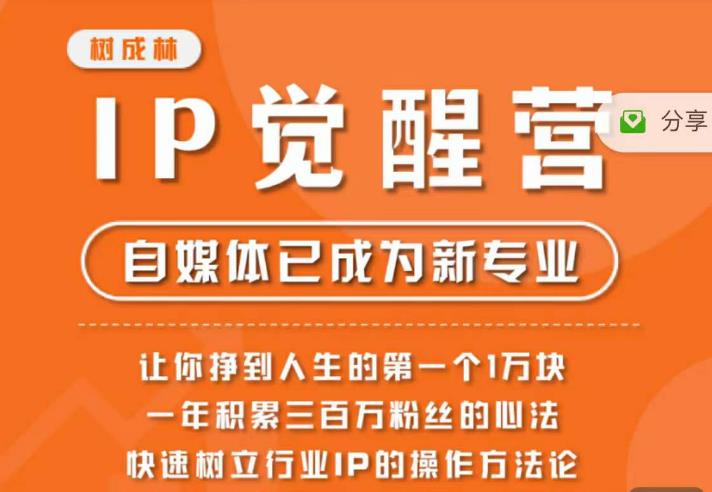 树成林·IP觉醒营,快速树立行业IP的操作方法论,让你赚到人生的第一个1万块(更新)-水滴知识网