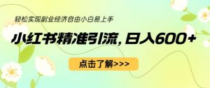 小红书精准引流，小白日入600+，轻松实现副业经济自由（教程+1153G资源）-水滴知识网