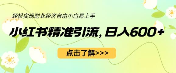 小红书精准引流,小白日入600+,轻松实现副业经济自由(教程+1153G资源)-水滴知识网