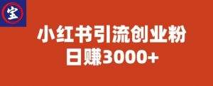 宝哥小红书引流创业粉,日赚3000+【揭秘】-水滴知识网