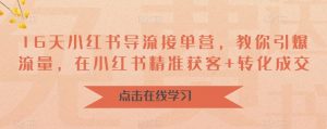 16天小红书导流接单营,教你引爆流量,在小红书精准获客+转化成交-水滴知识网