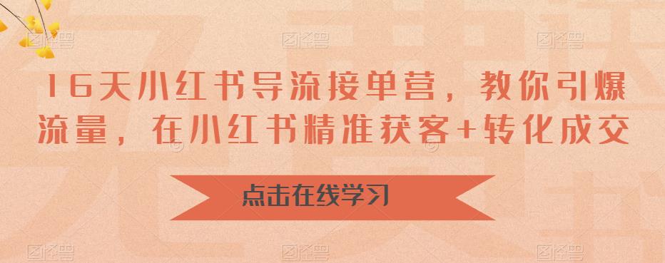 16天小红书导流接单营,教你引爆流量,在小红书精准获客+转化成交-水滴知识网