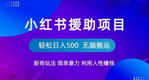 小红书援助项目新奇玩法，简单暴力，无脑搬运轻松日入500【揭秘】-水滴知识网