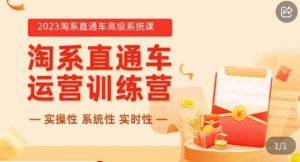 冠东·2023淘系直通车高级系统课,实操性,系统性,实时性,直通车完整体系教学-水滴知识网