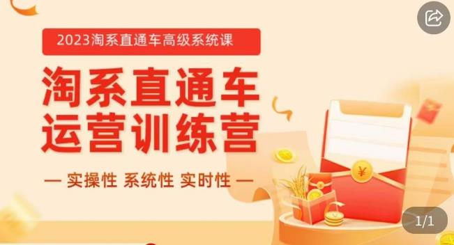冠东·2023淘系直通车高级系统课,实操性,系统性,实时性,直通车完整体系教学-水滴知识网