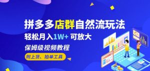 拼多多店群自然流玩法,轻松月入1W+保姆级视频教程(附上货、拍单工具)-水滴知识网