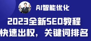 2023最新网站AI智能优化SEO教程,简单快速出权重,AI自动写文章+AI绘画配图-水滴知识网