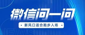 全网首发微信问一问新风口变现项目(价值1999元)【揭秘】-水滴知识网