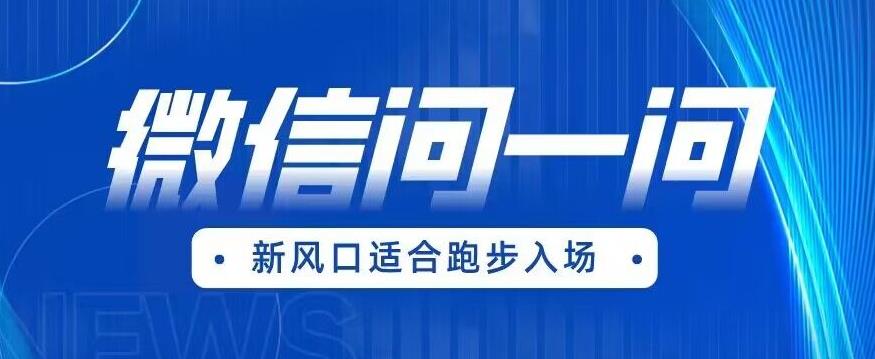 全网首发微信问一问新风口变现项目(价值1999元)【揭秘】-水滴知识网